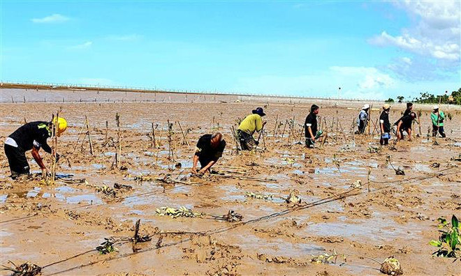 Austria respalda a provincia vietnamita en fomento de resiliencia climática ảnh 1