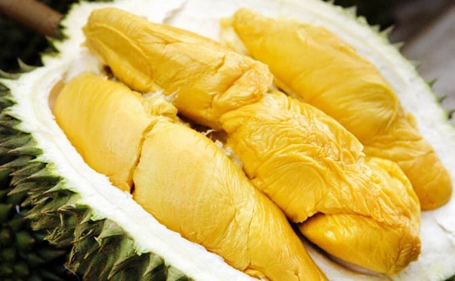 Vietnam espera exportar este año durian al mercado chino ảnh 1 Vietnam espera exportar este año durian al mercado chino ảnh 1