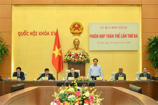Elogian labores de relaciones exteriores del Parlamento vietnamita ảnh 1
