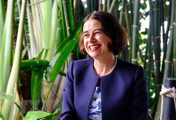 Entregan distinción vietnamita a la embajadora de Australia ảnh 1 Entregan distinción vietnamita a la embajadora de Australia ảnh 1