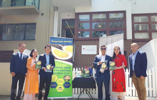 Promociona Vietnam su durián en Australia con muestras itinerantes ảnh 1