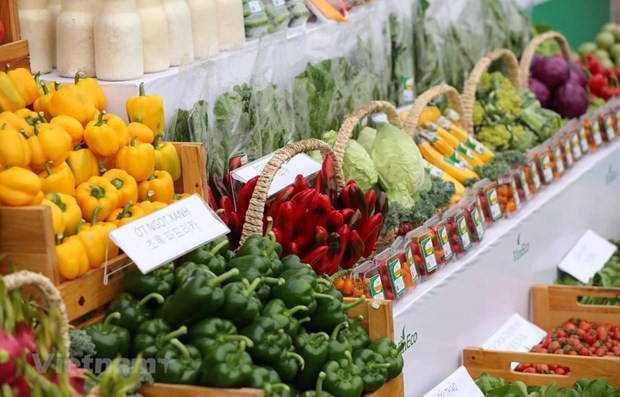 Reportan leve aumento del índice de precios en Ciudad Ho Chi Minh ảnh 1 Reportan leve aumento del índice de precios en Ciudad Ho Chi Minh ảnh 1