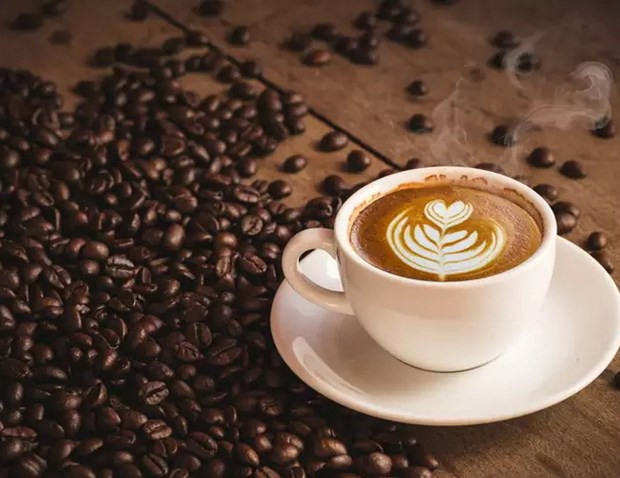 Promocionan el café vietnamita en Festival de Buon Ma Thuot 2019 ảnh 1