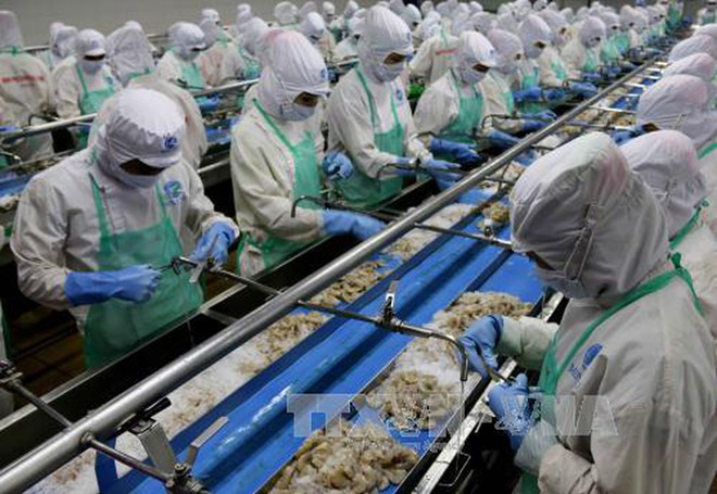 Figura México entre mercados receptores de productos acuícolas vietnamitas de mayor crecimiento ảnh 1 Figura México entre mercados receptores de productos acuícolas vietnamitas de mayor crecimiento ảnh 1