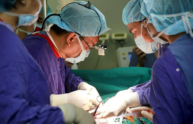 Cerca de 20 mil vietnamitas se registran como donantes de órganos ảnh 1 Cerca de 20 mil vietnamitas se registran como donantes de órganos ảnh 1
