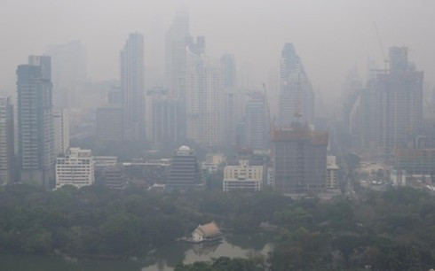 Cancelan vuelos en Tailandia por grave contaminación del aire ảnh 1