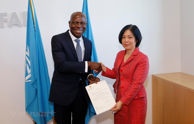 Reconoce organización internacional el desarrollo económico de Vietnam ảnh 1 Reconoce organización internacional el desarrollo económico de Vietnam ảnh 1