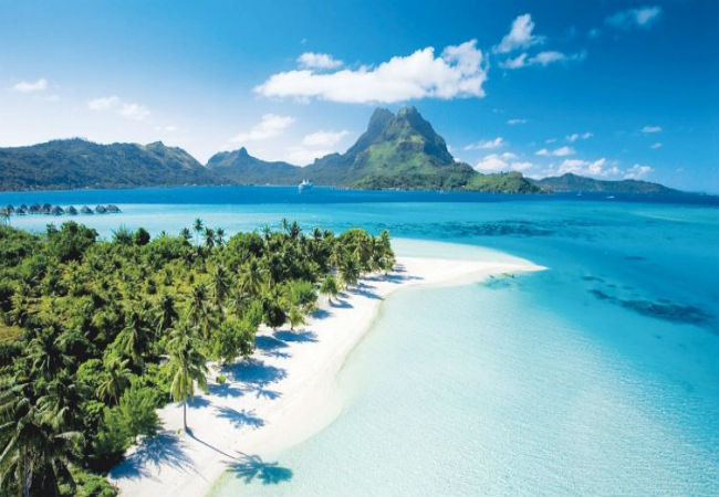 Promocionan en Rusia potencialidades turísticas marítimas de Vietnam ảnh 1 Promocionan en Rusia potencialidades turísticas marítimas de Vietnam ảnh 1