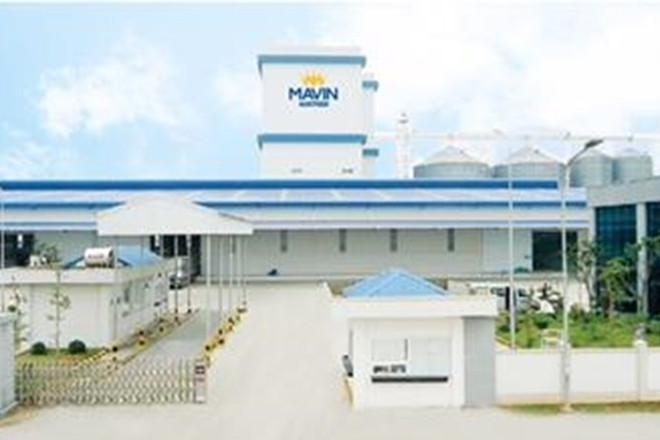 Grupo Mavin invertirá 80 millones de dólares en proyecto de procesamiento de alimentos en Vietnam ảnh 1