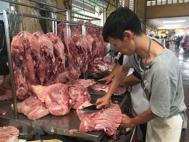 Se frenó esta semana avance del brote de fiebre porcina en capital de Vietnam ảnh 1