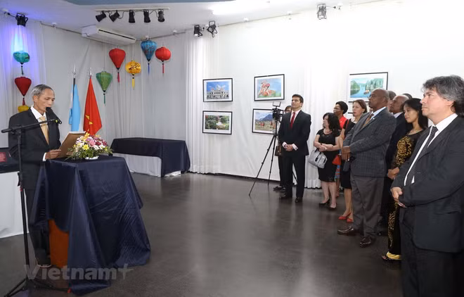 Vietnam y Argentina fomentan cooperación bilateral ảnh 1
