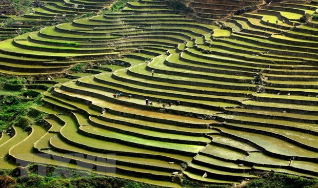 Mejoran provincias de Vietnam la conectividad turística ảnh 1 Mejoran provincias de Vietnam la conectividad turística ảnh 1