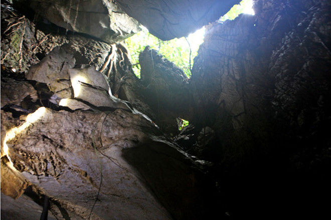 Descubren complejo de tumbas de Edad de Hierro en provincia vietnamita ảnh 1