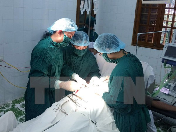 Vietnam y Alemania cooperan en formación de médicos ảnh 1 Vietnam y Alemania cooperan en formación de médicos ảnh 1