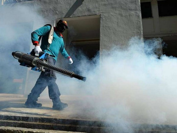 Singapur confirma dos nuevos casos de Zika ảnh 1 Singapur confirma dos nuevos casos de Zika ảnh 1