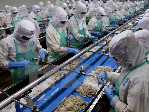 APEC 2017 creará base para desarrollar comercio entre Vietnam y Brunei ảnh 1