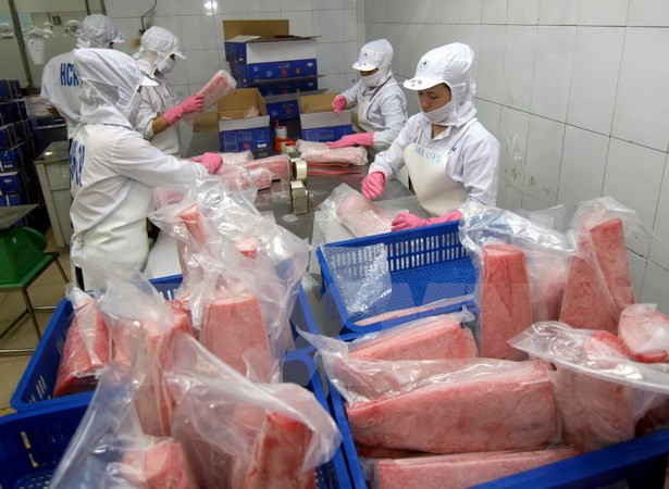 Reducirán impuesto de productos vietnamitas a UEE debido a TLC ảnh 1