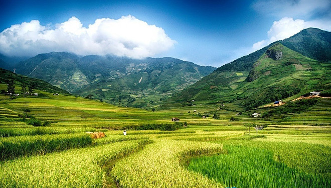 Promulgan seis resoluciones de Partido vietnamita sobre desarrollo regional ảnh 1 Promulgan seis resoluciones de Partido vietnamita sobre desarrollo regional ảnh 1