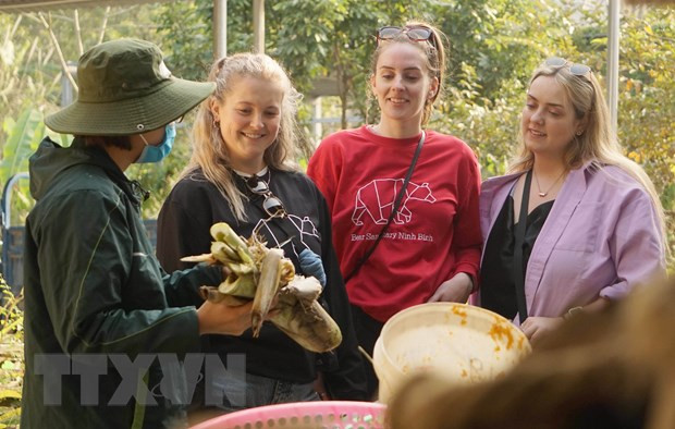 Turismo de naturaleza multiplica atractivos de centro de conservación de osos en Vietnam ảnh 1 Turismo de naturaleza multiplica atractivos de centro de conservación de osos en Vietnam ảnh 1