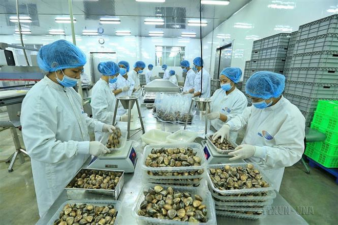 Países Bajos quiere cooperar con Vietnam por beneficio mutuo de los pueblos ảnh 3 Países Bajos quiere cooperar con Vietnam por beneficio mutuo de los pueblos ảnh 3