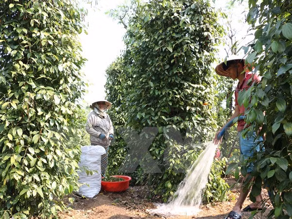 Vietnam y UE estudian oportunidades y retos en sector agrícola ảnh 1