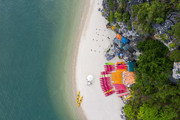 Empresas turísticas vietnamitas por recuperarse del COVID-19 ảnh 5 Empresas turísticas vietnamitas por recuperarse del COVID-19 ảnh 5