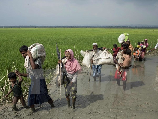 Éxodo de rohingyas de Myanmar a Bangladesh se acerca a los 300 mil ảnh 1