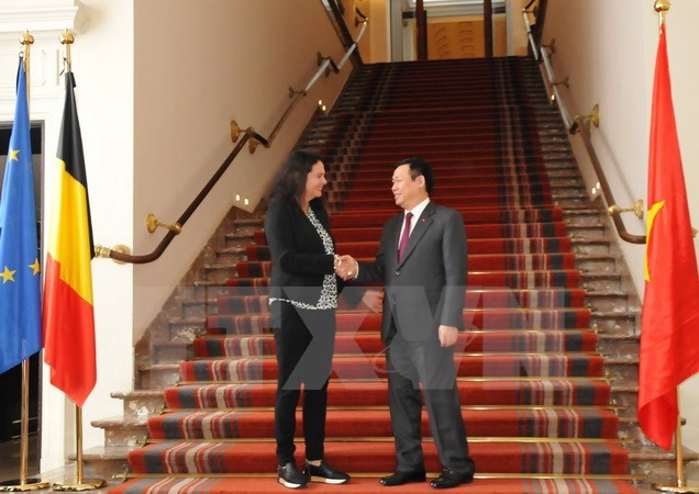 Vicepremier de Vietnam cumple agenda apretada en Bélgica ảnh 2 Vicepremier de Vietnam cumple agenda apretada en Bélgica ảnh 2
