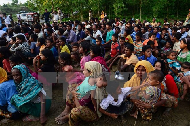 Más de 370 mil myanmenos huyen a Bangladesh por violencia en Rakhine ảnh 1