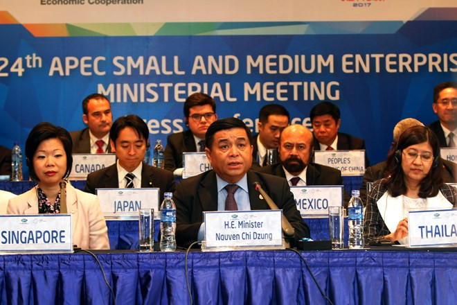 APEC aprueba importantes documentos sobre desarrollo de PyMEs ảnh 1