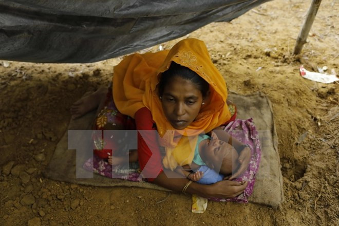 Myanmar solicita asistencia internacional para estabilizar situación en Rakhine ảnh 1 Myanmar solicita asistencia internacional para estabilizar situación en Rakhine ảnh 1