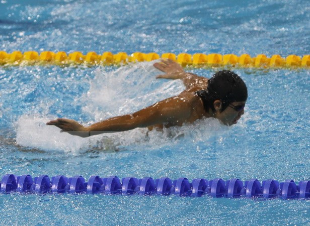 Vietnam conquista cuatro medallas de oro en ASEAN ParaGames 2017 ảnh 1 Vietnam conquista cuatro medallas de oro en ASEAN ParaGames 2017 ảnh 1