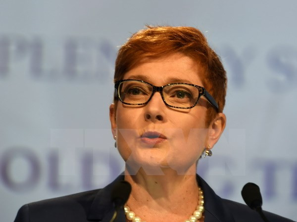 Australia enviará tropas para ayudar a Filipinas a combatir a militantes islámicos ảnh 1