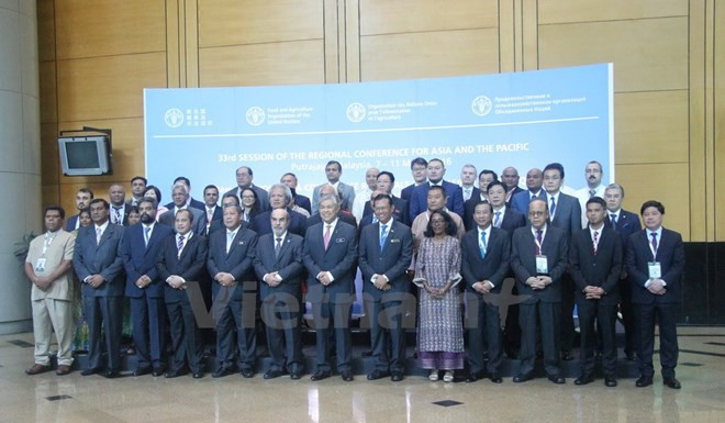 Valoran posición de Vietnam en ONU a 40 años de su adhesión ảnh 1