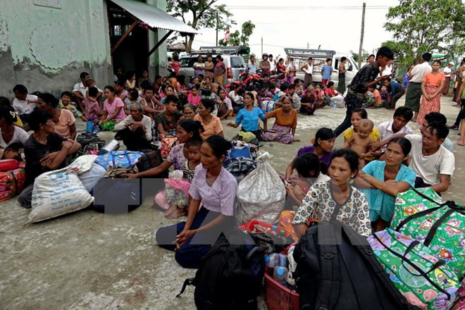 Gobierno de Myanmar rechaza el cese el fuego propuesto por rebeldes rohingyas ảnh 1 Gobierno de Myanmar rechaza el cese el fuego propuesto por rebeldes rohingyas ảnh 1