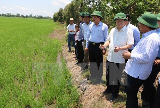 Aceleran proyecto agrícola del Banco Mundial en Vietnam ảnh 1 Aceleran proyecto agrícola del Banco Mundial en Vietnam ảnh 1