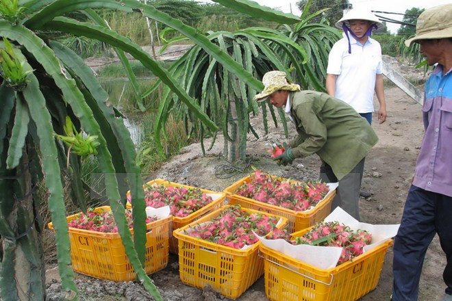 Organizan foro de promoción de inversión en agricultura Vietnam-Japón ảnh 1 Organizan foro de promoción de inversión en agricultura Vietnam-Japón ảnh 1