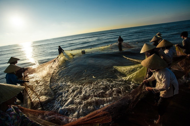 Vietnam aspira a construir sector pesquero integrado, sostenible y responsable ảnh 1 Vietnam aspira a construir sector pesquero integrado, sostenible y responsable ảnh 1