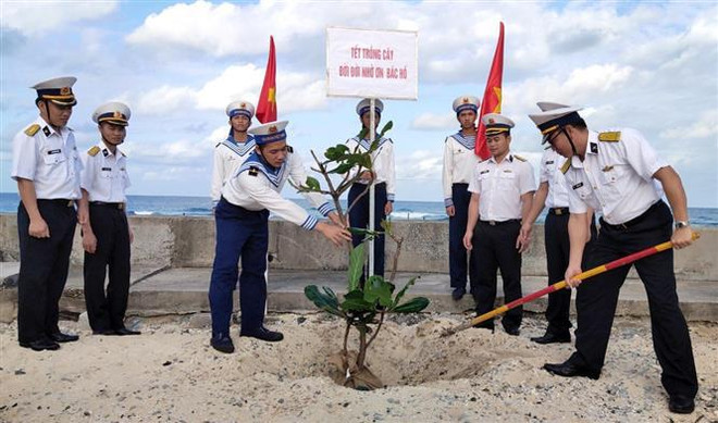 Impulsan en Vietnam campaña de plantación de árboles ảnh 2 Impulsan en Vietnam campaña de plantación de árboles ảnh 2