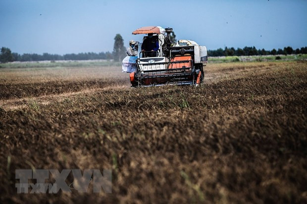 Vietnam planea respuesta al cambio climático en el período 2021-2030 ảnh 1 Vietnam planea respuesta al cambio climático en el período 2021-2030 ảnh 1