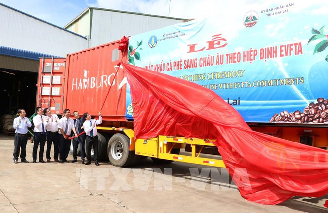 Vietnam superará dificultades con unanimidad de todo el sistema político ảnh 2