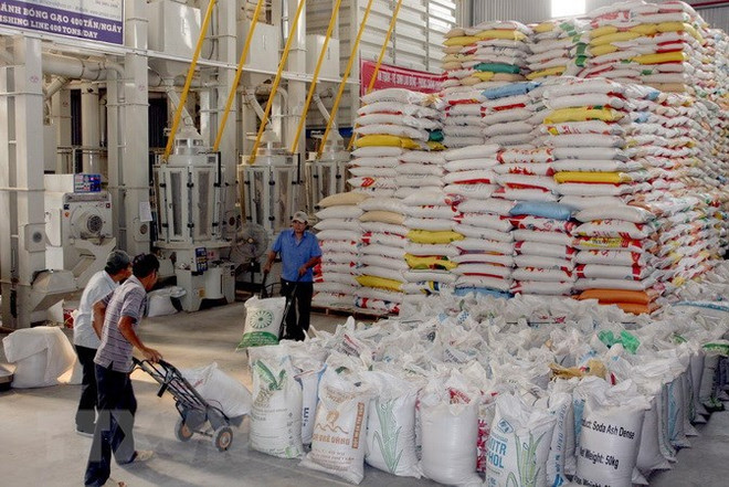 Exportaciones de arroz vietnamita a Filipinas superan mil millones de dólares ảnh 1 Exportaciones de arroz vietnamita a Filipinas superan mil millones de dólares ảnh 1