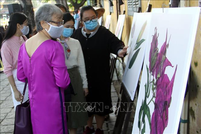En provincia vietnamita exposición sobre flores de Colombia ảnh 2 En provincia vietnamita exposición sobre flores de Colombia ảnh 2
