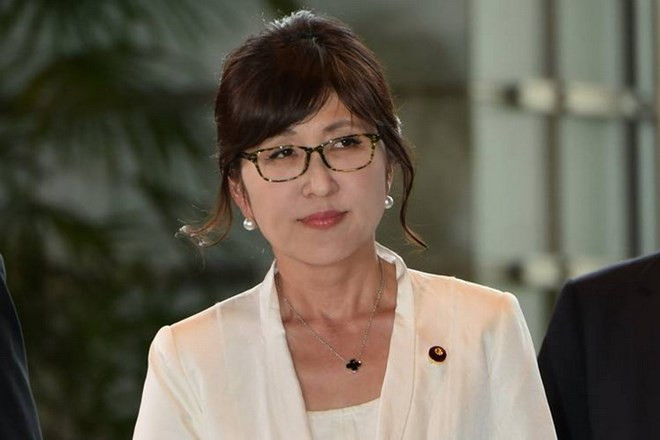 Japón y Myanmar acuerdan intensificar la cooperación en defensa ảnh 1 Japón y Myanmar acuerdan intensificar la cooperación en defensa ảnh 1