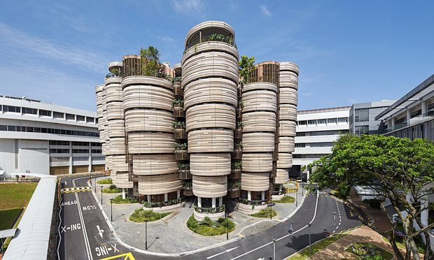 Universidad de Singapur se mantiene como la mejor entre las recién establecidas ảnh 1 Universidad de Singapur se mantiene como la mejor entre las recién establecidas ảnh 1