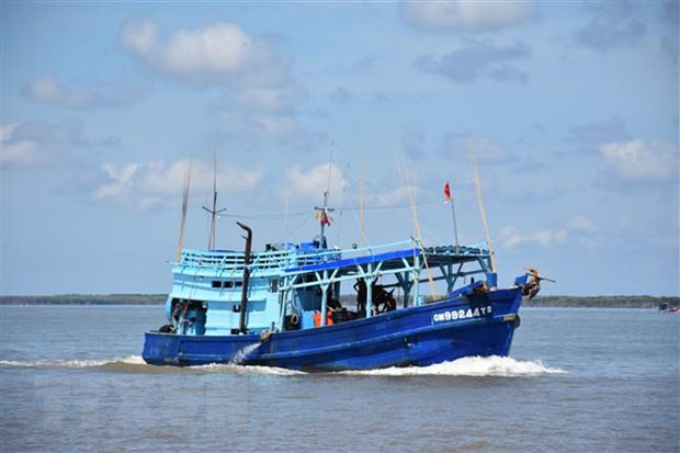 Provincia vietnamita de Quang Tri busca garantizar pesca legal ảnh 1 Provincia vietnamita de Quang Tri busca garantizar pesca legal ảnh 1