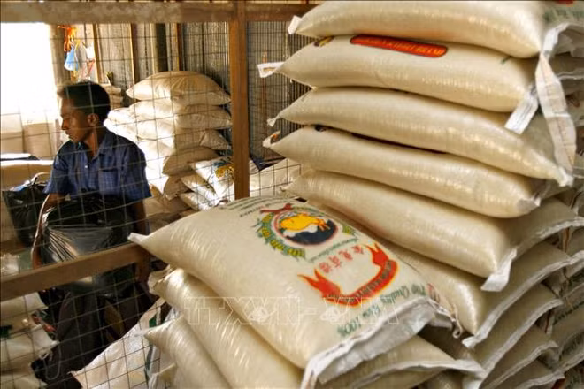 Tailandia espera exportar ocho millones de toneladas de arroz en 2023 ảnh 1