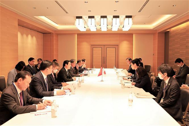 Vietnam y Japón impulsan cooperación en energía y reducción de emisiones ảnh 2 Vietnam y Japón impulsan cooperación en energía y reducción de emisiones ảnh 2