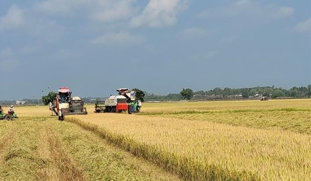 Aplican alta tecnología en desarrollo económico de fincas en provincia vietnamita ảnh 1 Aplican alta tecnología en desarrollo económico de fincas en provincia vietnamita ảnh 1