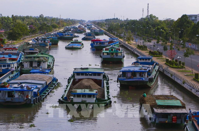 Vietnam planifica la cuenca del Delta de Mekong en período 2021-2030 ảnh 2 Vietnam planifica la cuenca del Delta de Mekong en período 2021-2030 ảnh 2